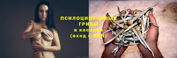 ECSTASY Кодинск