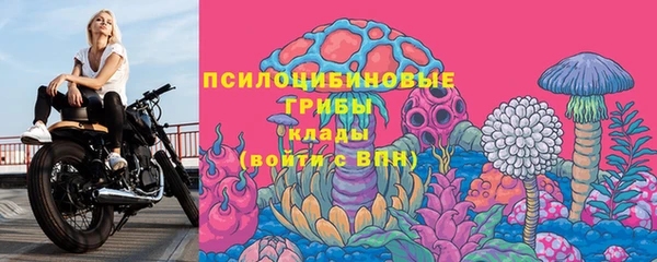 эйфоретик Козельск