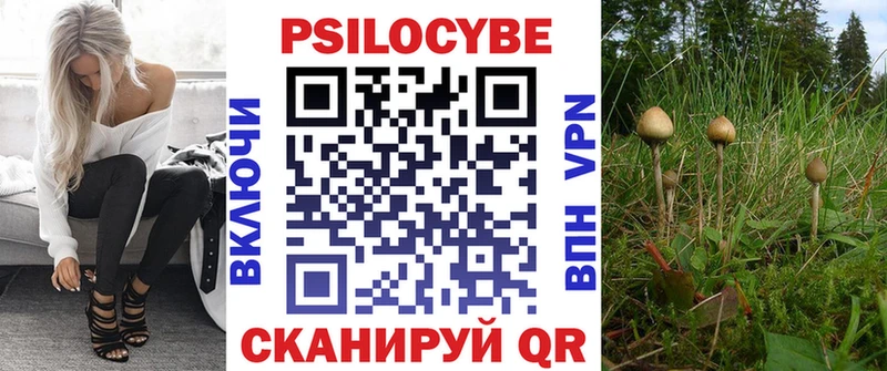 Купить где  Воскресенск  Псилоцибиновые грибы мицелий 